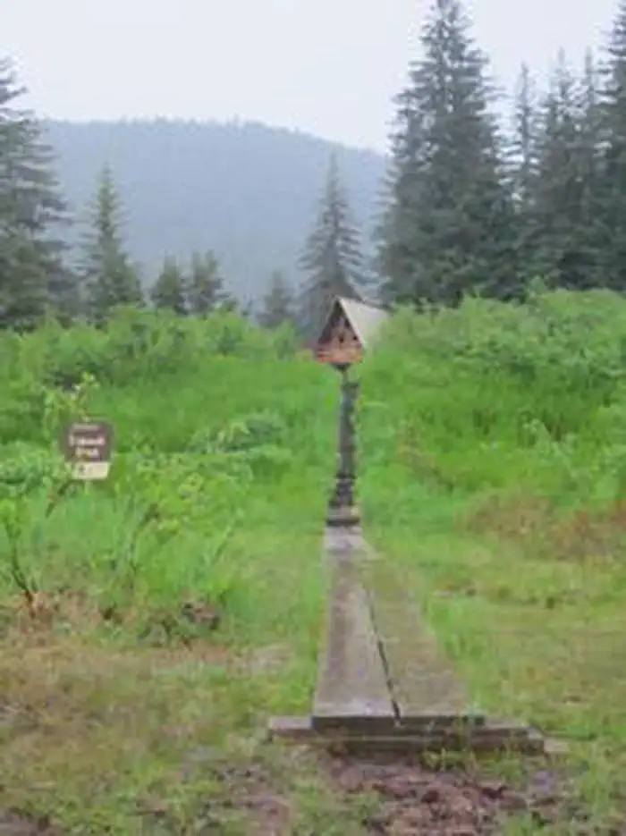 COGHILL LAKE CABIN7
