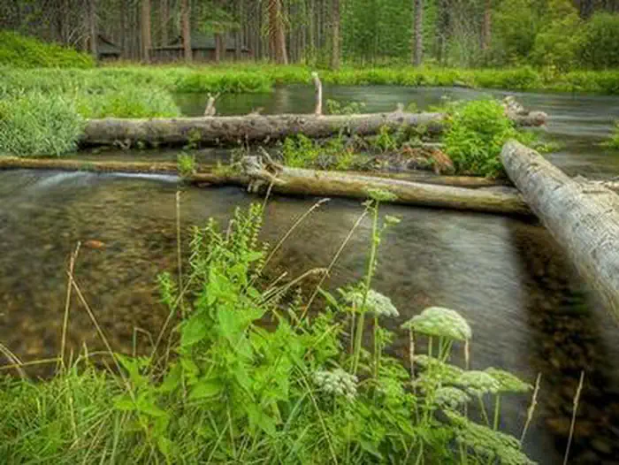 CAMP SHERMAN CAMPGROUND