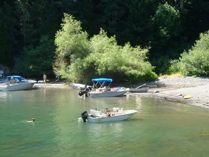 Fir Cove Campground Ruth Lake Shoreline