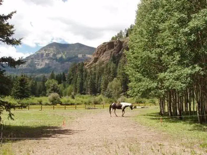 PALISADES HORSE CAMP