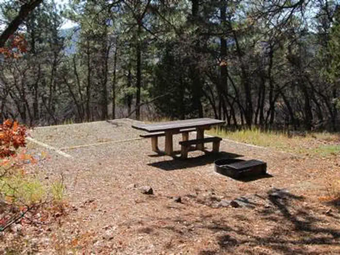 TARGET TREE CAMPGROUND