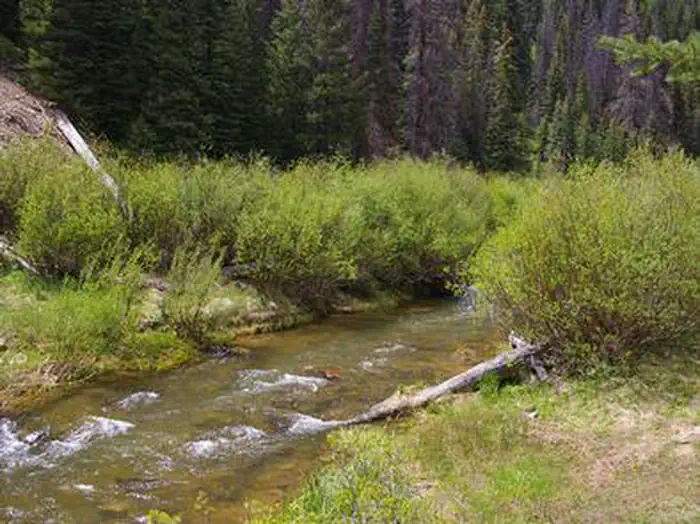 Huntington Creek