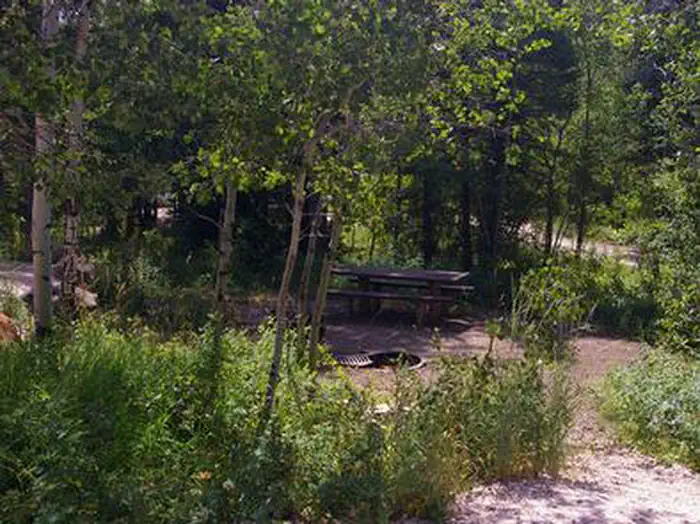PARIS SPRINGS CAMPGROUND