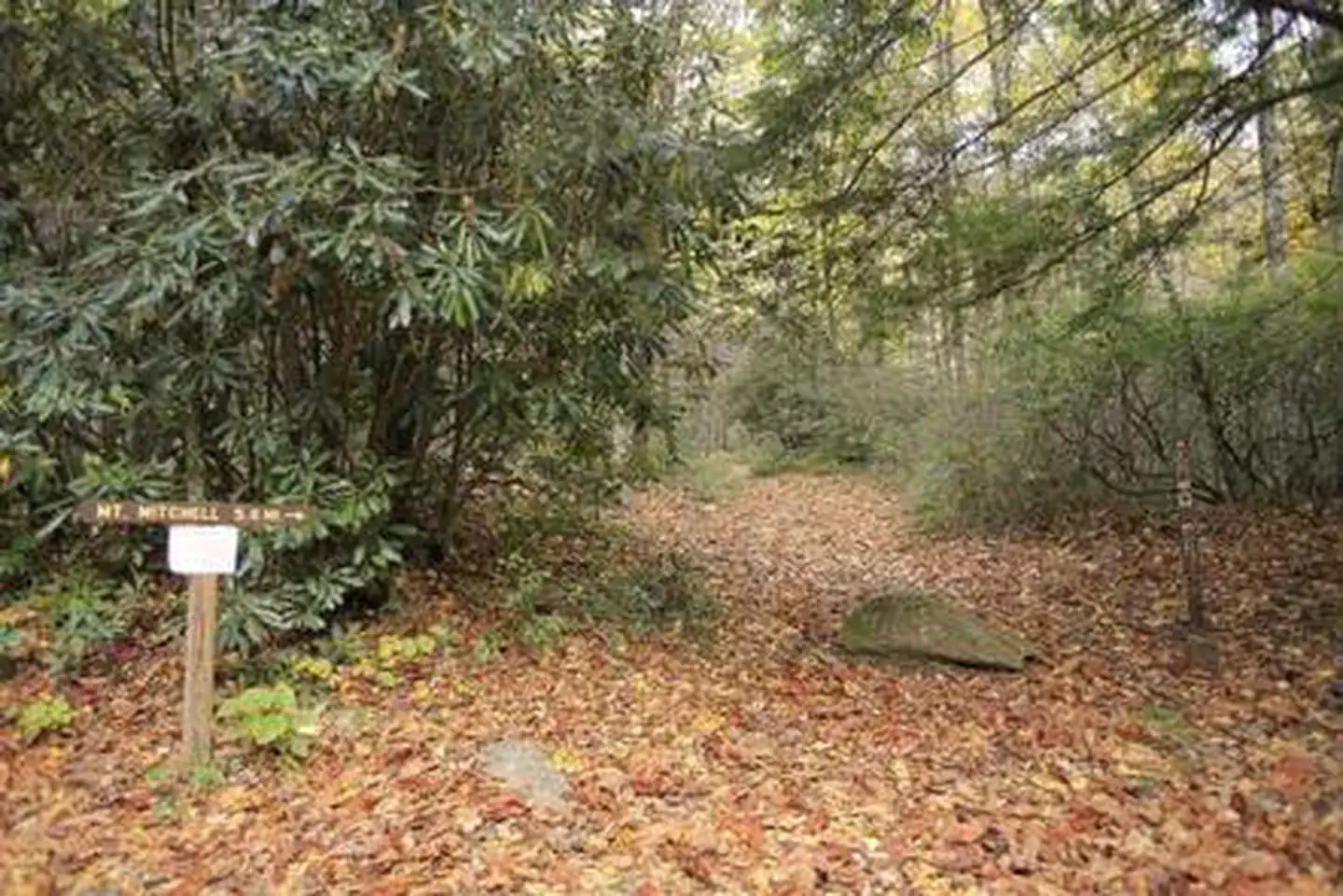 BRIAR BOTTOM GROUP CAMPGROUND 1