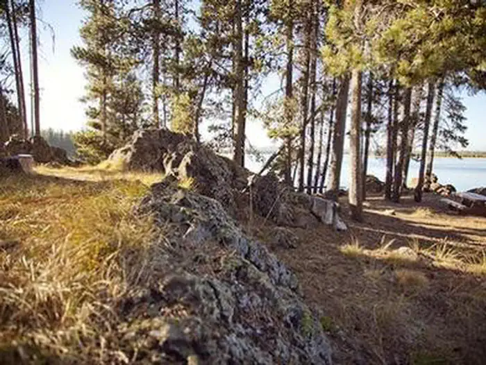 Crane Prairie Campground