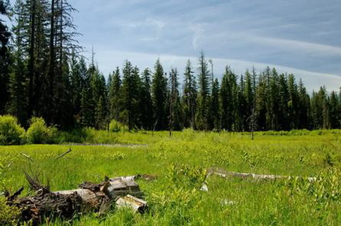 WILLOW PRAIRIE CABIN