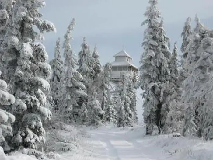 WARNER MOUNTAIN LOOKOUT