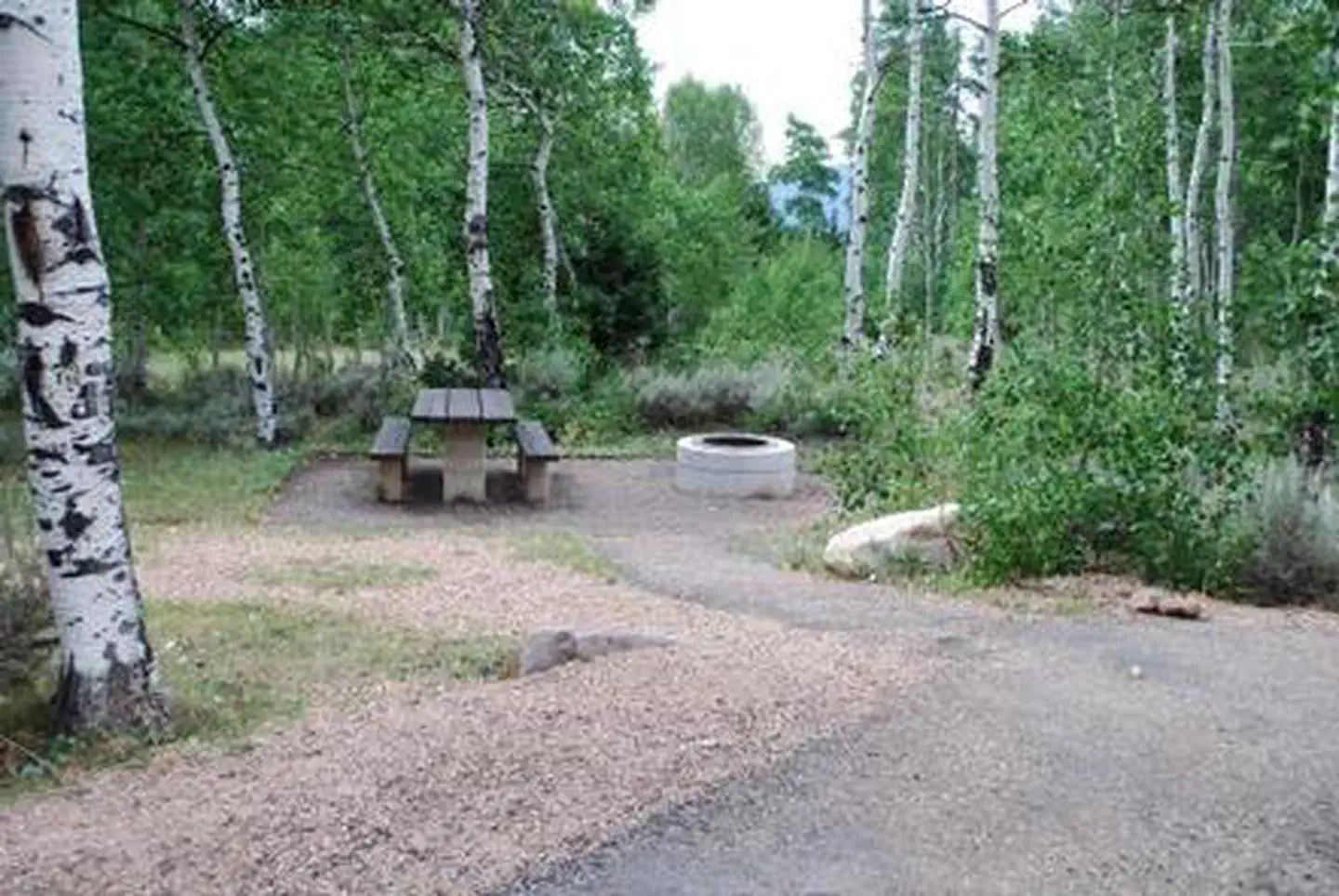 MINERS GULCH