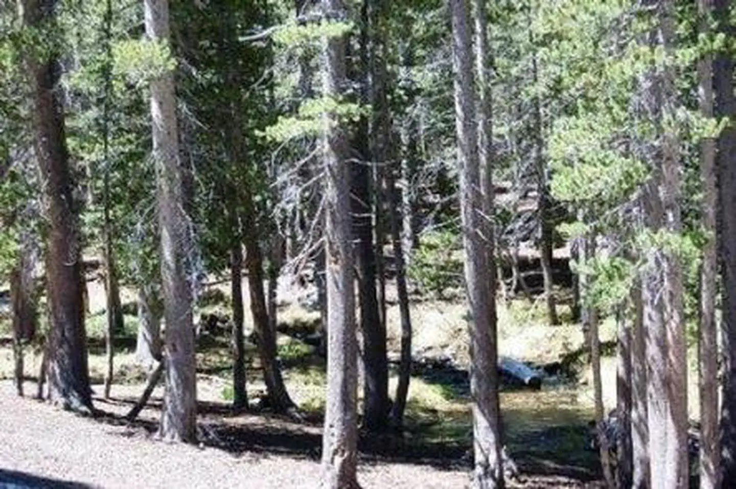 COLDWATER CAMPGROUND