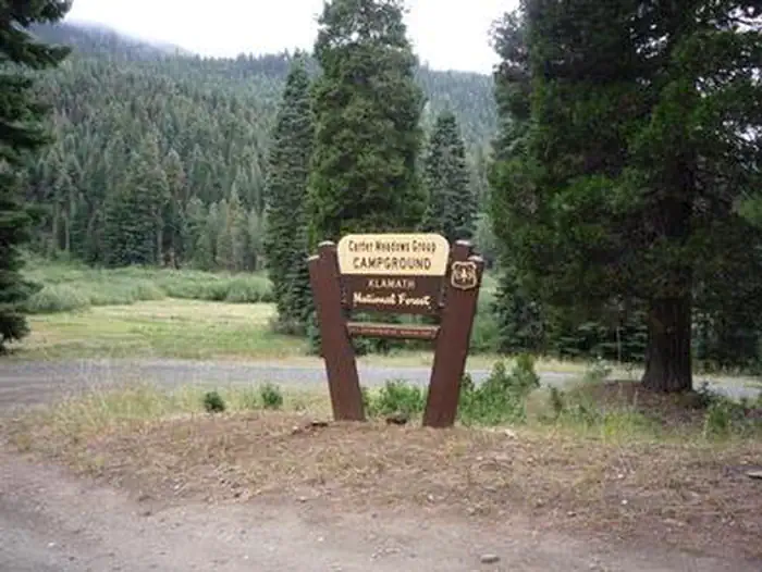 CARTER MEADOWS HORSE GROUP