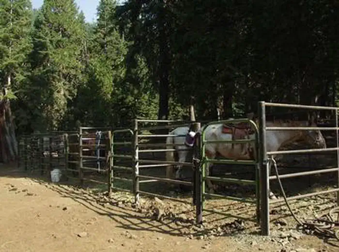 CARTER MEADOWS HORSE GROUP