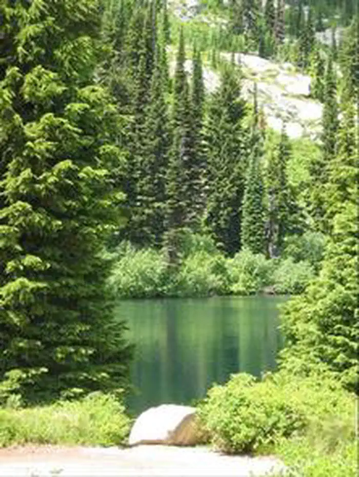 LIZ BUTTE CABIN