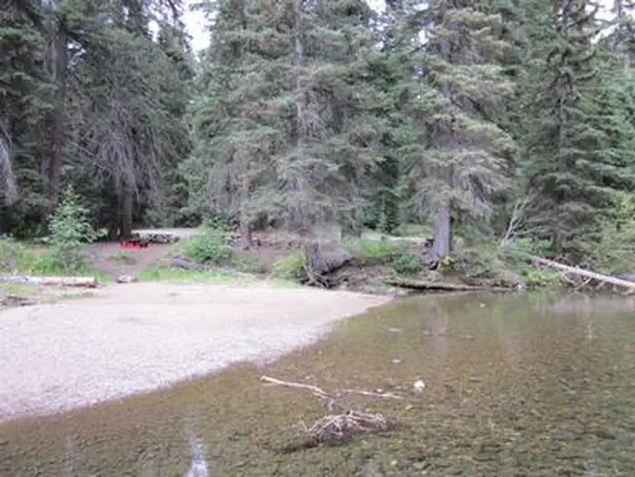 Flat beach next to clear creek in conifer forest.