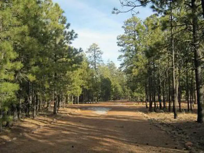 BLACK CANYON RIM CAMPGROUND