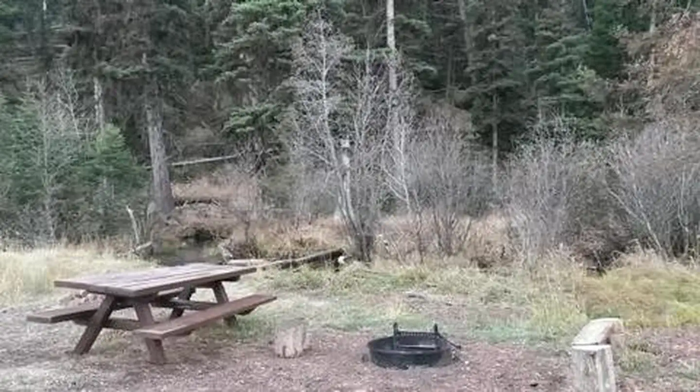 Fire Pit
